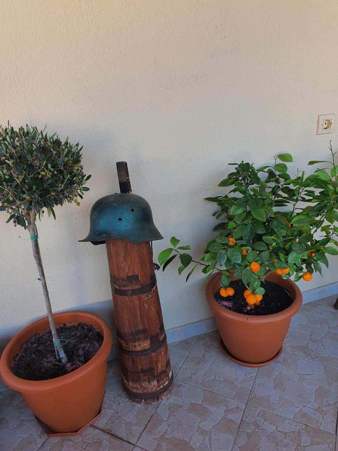 Alexandros Guesthouse Órma المظهر الخارجي الصورة